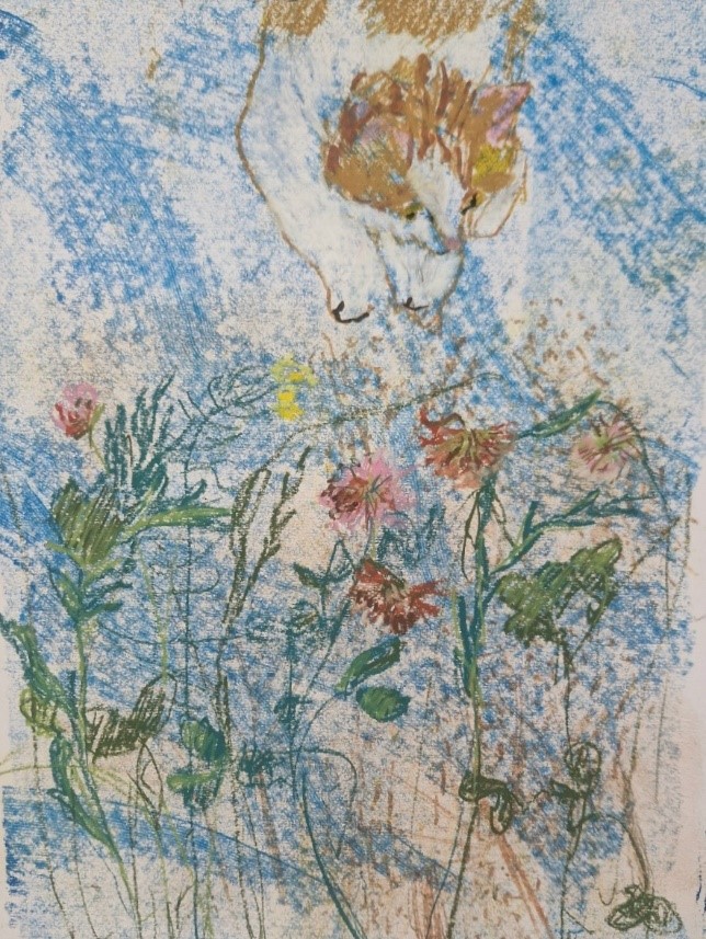 Кошка, цветы, сон кошки