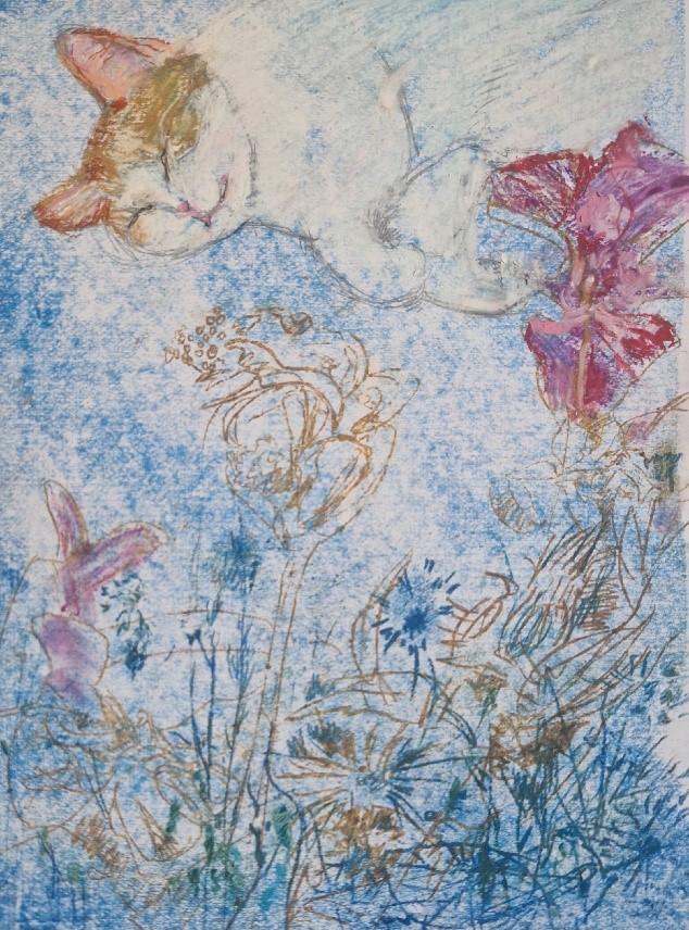 Кошка, цветы, сон кошки