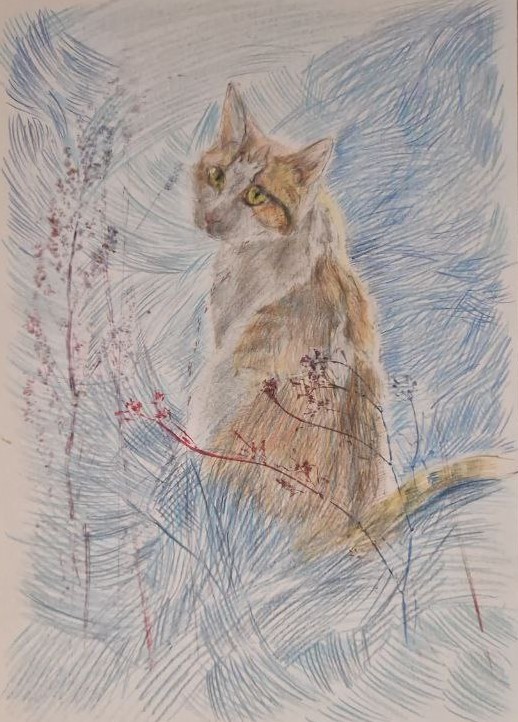Кошка, цветы, сон кошки