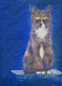 Любимый кот